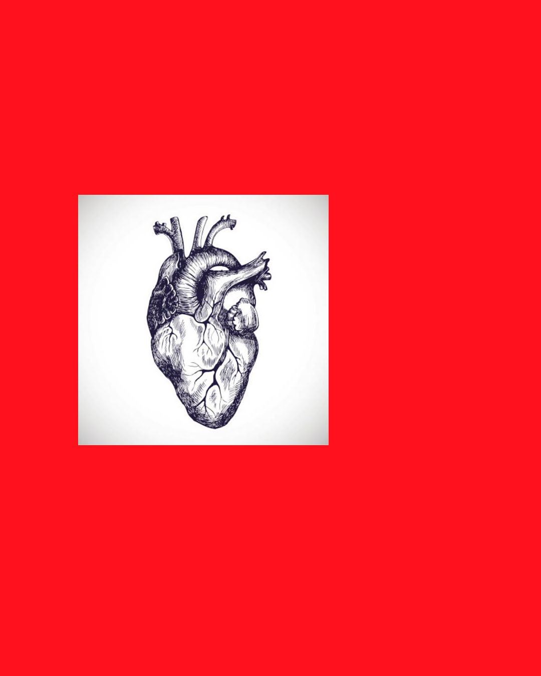 Gravura de um coração humano, ponto de partida para os estudos de grafismos que levaram ao desenho da logo.